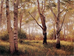 Koestner, Morning in the Birch Woods